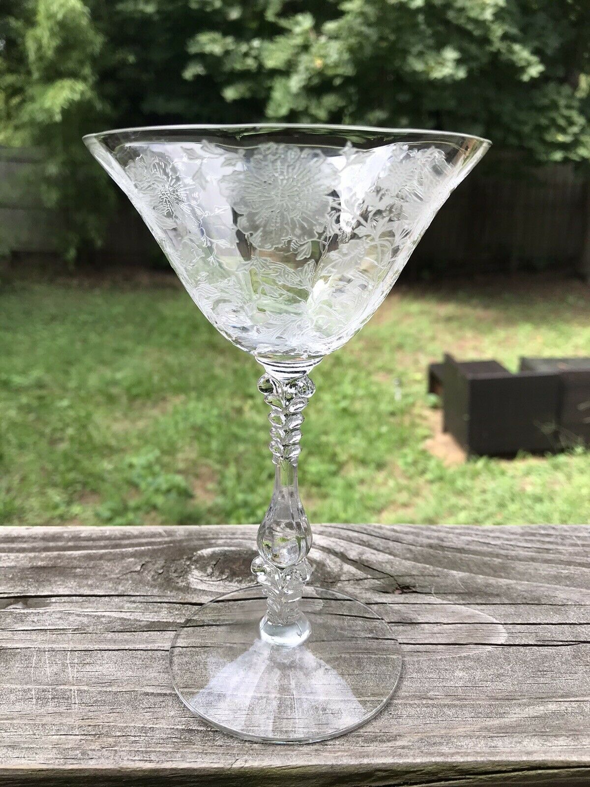 1 Vintage Cambridge Wildflower Clear Champagne Tall Sherbet Etched Disc.